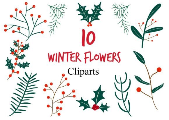 Winter Christmas Plant Clipart: Premium Illustrations